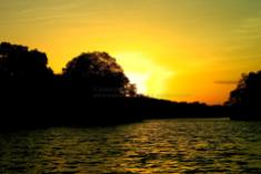 Sunset@Caroni Swamp... Trinidad
